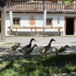 Markus Wasmeier Museum Schliersee