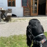 Markus Wasmeier Museum Schliersee, Gordon Setter
