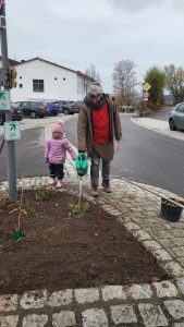 Neugestaltung Staudenbeet