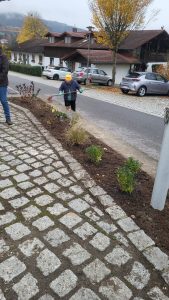 Neugestaltung Staudenbeet