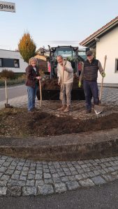 Neugestaltung Staudenbeet