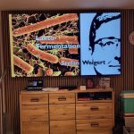 Lakto Fermentation mit Stefan Weigert