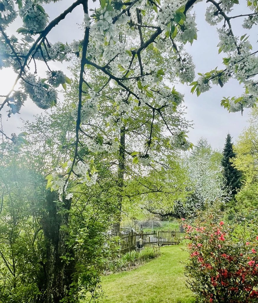 Obst-und Gartenbauverein Neukirchen bei Bogen