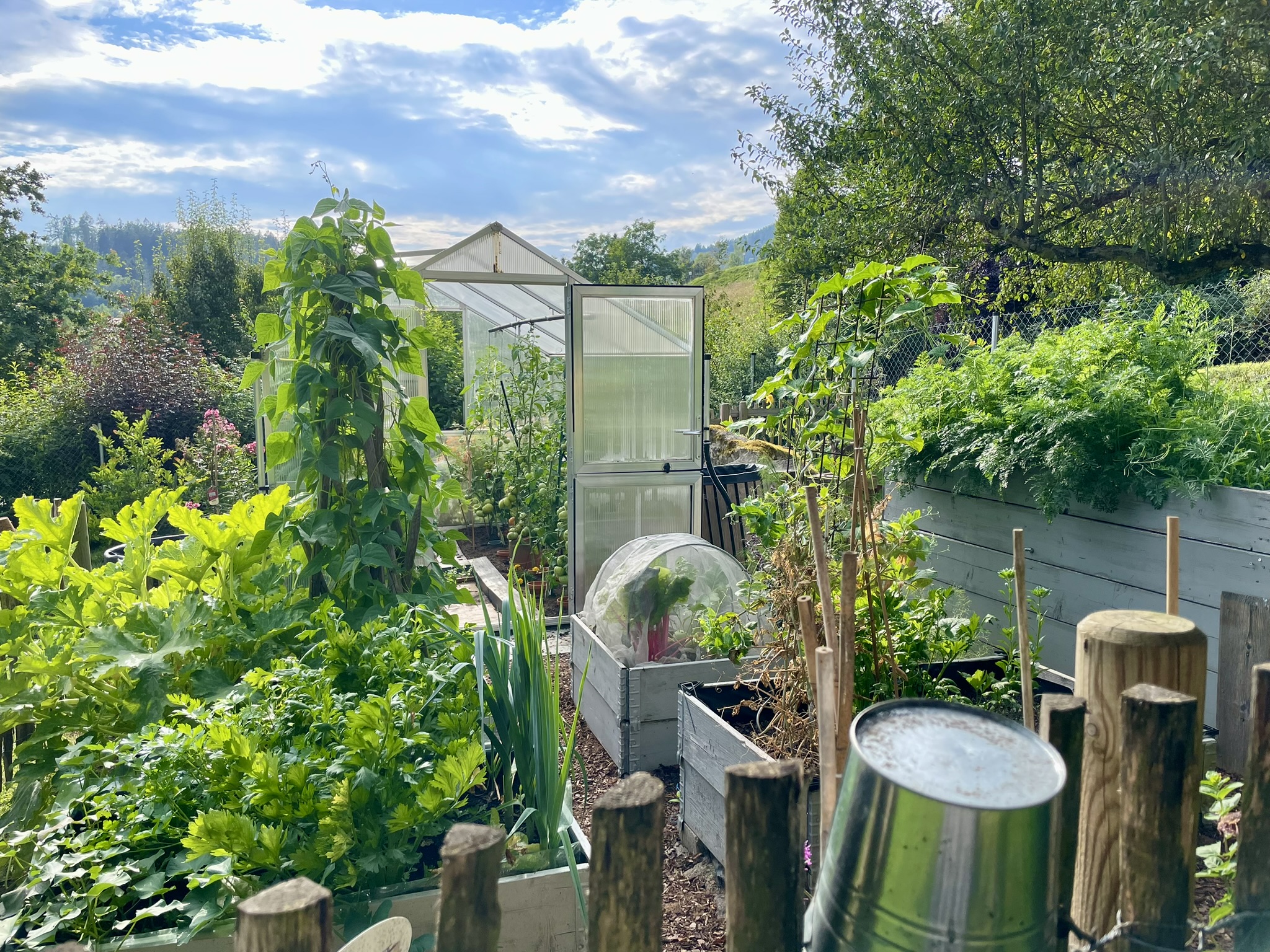 OGV Neukirchen bei Bogen