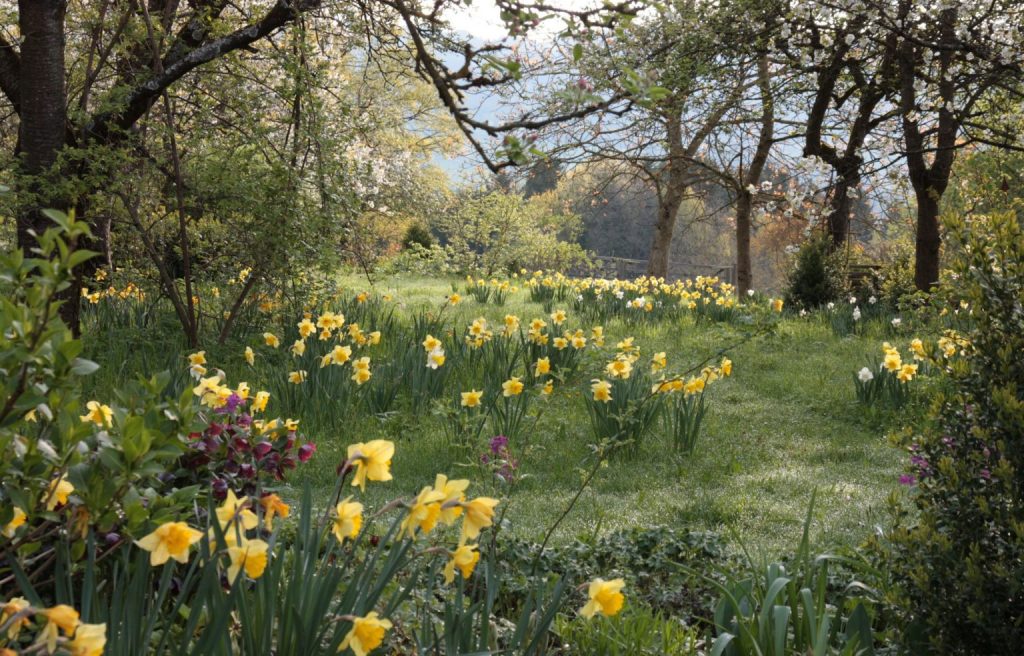 Katharina Schumann - Garten der vier Jahreszeiten