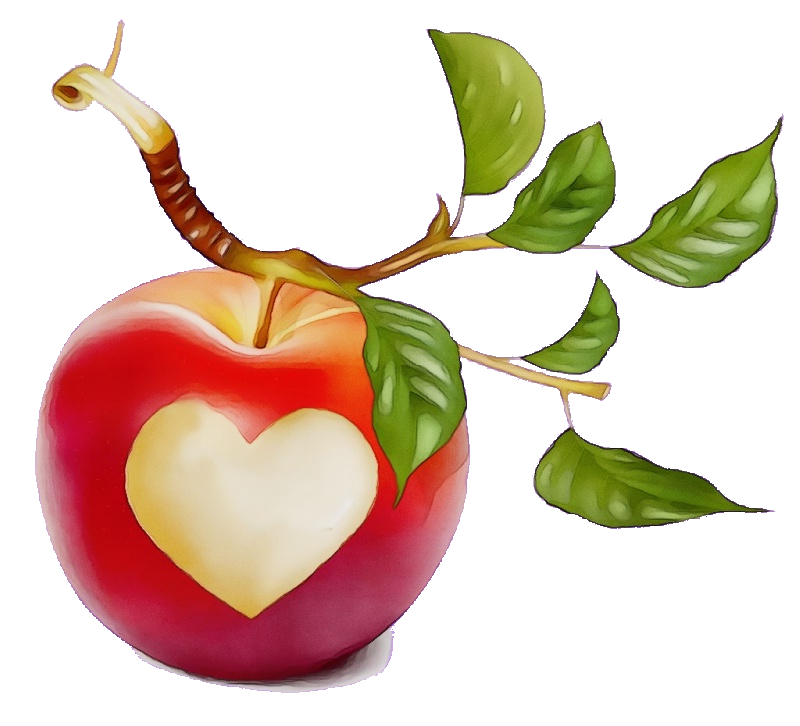 Obst- und Gartenbauverein Neukirchen